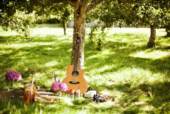 romantic-picnic-ideas